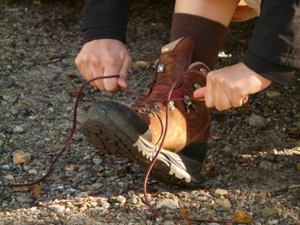 Wandelroute Vogels op landgoed Koningshof, vlak bij Haarlem